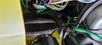 20220724_115954 M.jpg