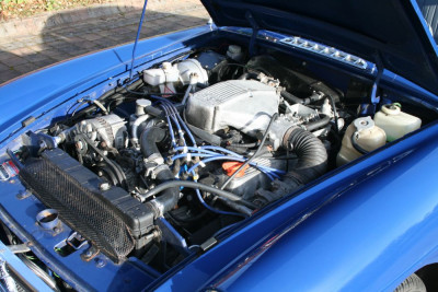 Small Bonnet.jpg